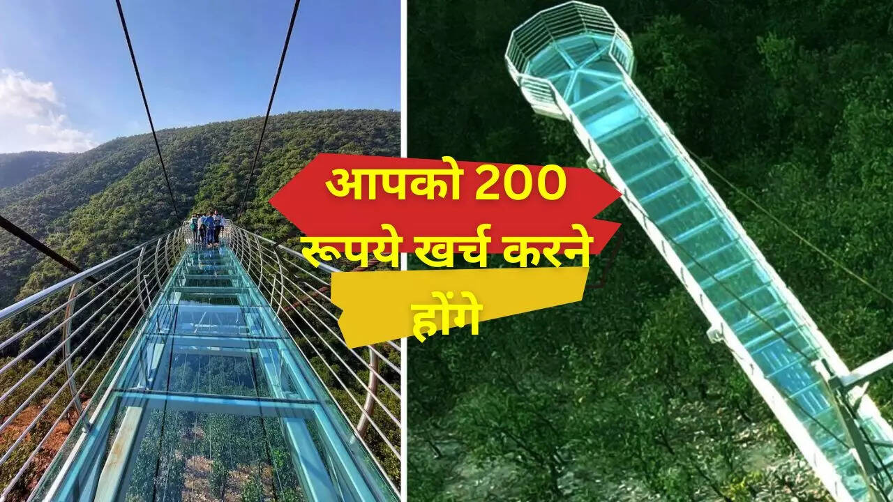 ग्लास ब्रिज पर जाने के लिए आपको 200 रूपये खर्च करने होंगे