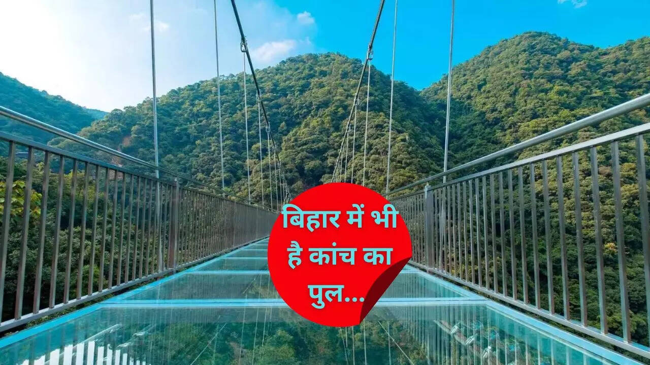 राजगीर का ग्लास ब्रिज भारत का दूसरा ग्लास ब्रिज