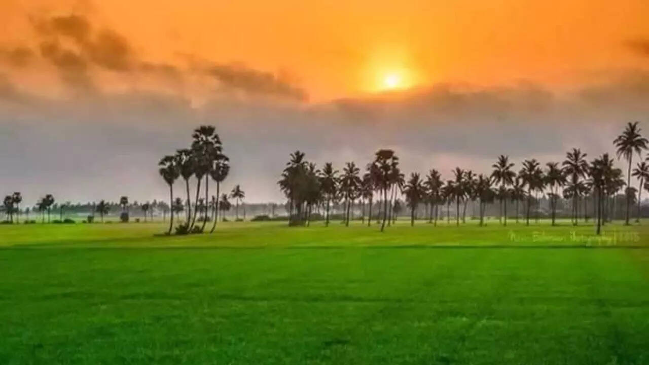 तिरंगे के तीनों रंगों का मतलब
