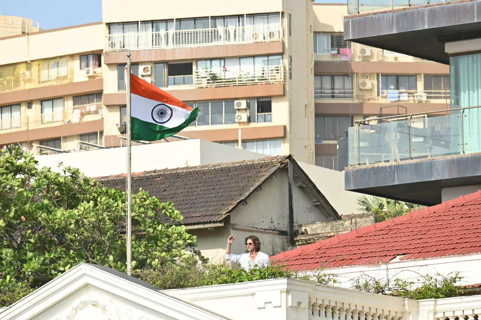 किंग में नजर आएंगे एक्टर