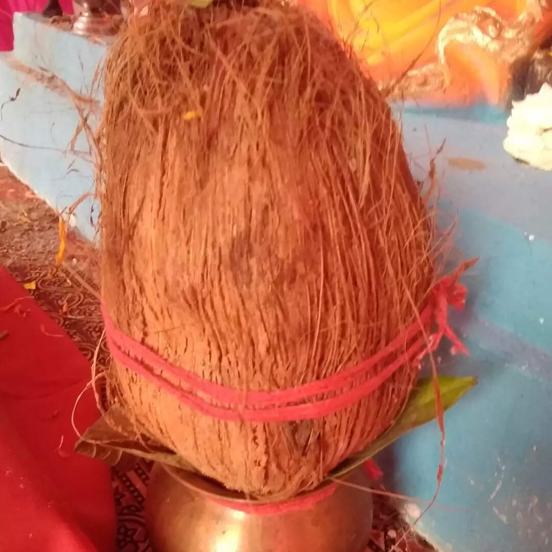 नारियल