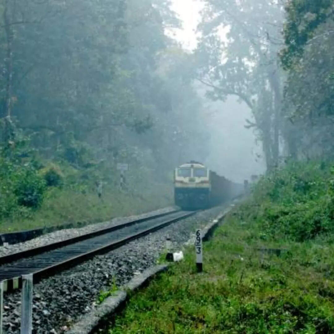 हादसे का खतरा