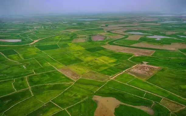 खतौनी किसे कहते हैं