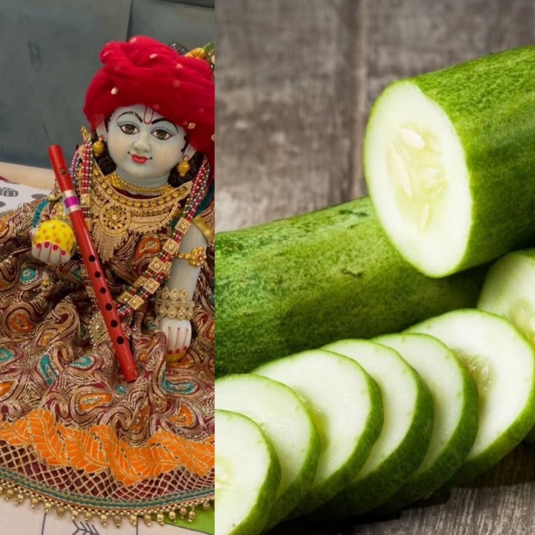 गर्भाशय