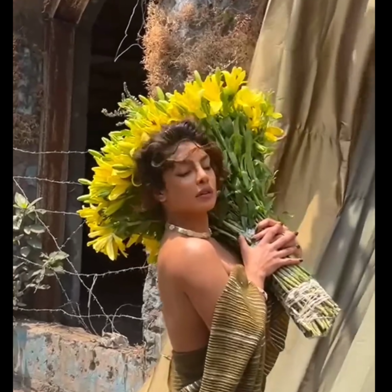 बेहद हसीन लगीं प्रियंका चोपड़ा