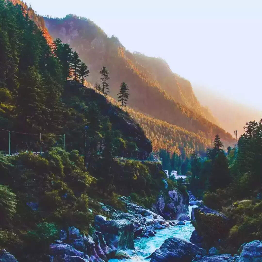 वियतनाम