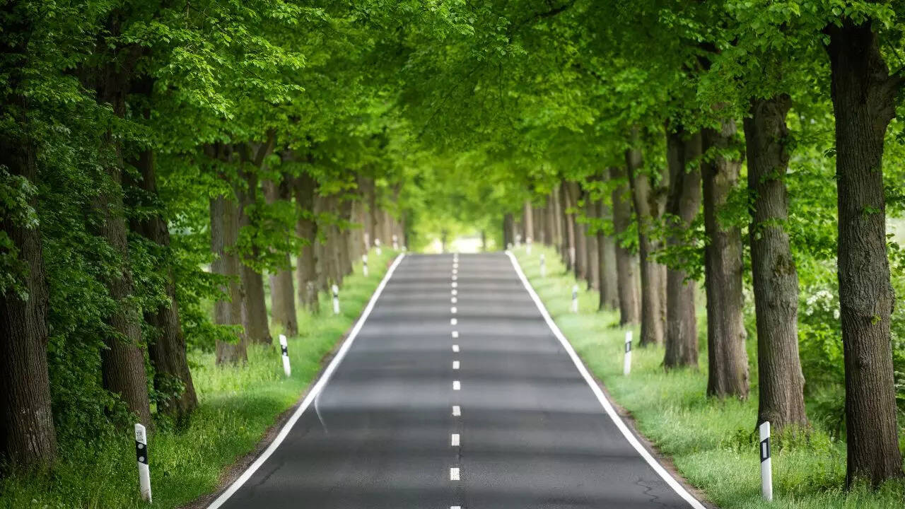 अवध एक्सप्रेसवे में कितने लेन