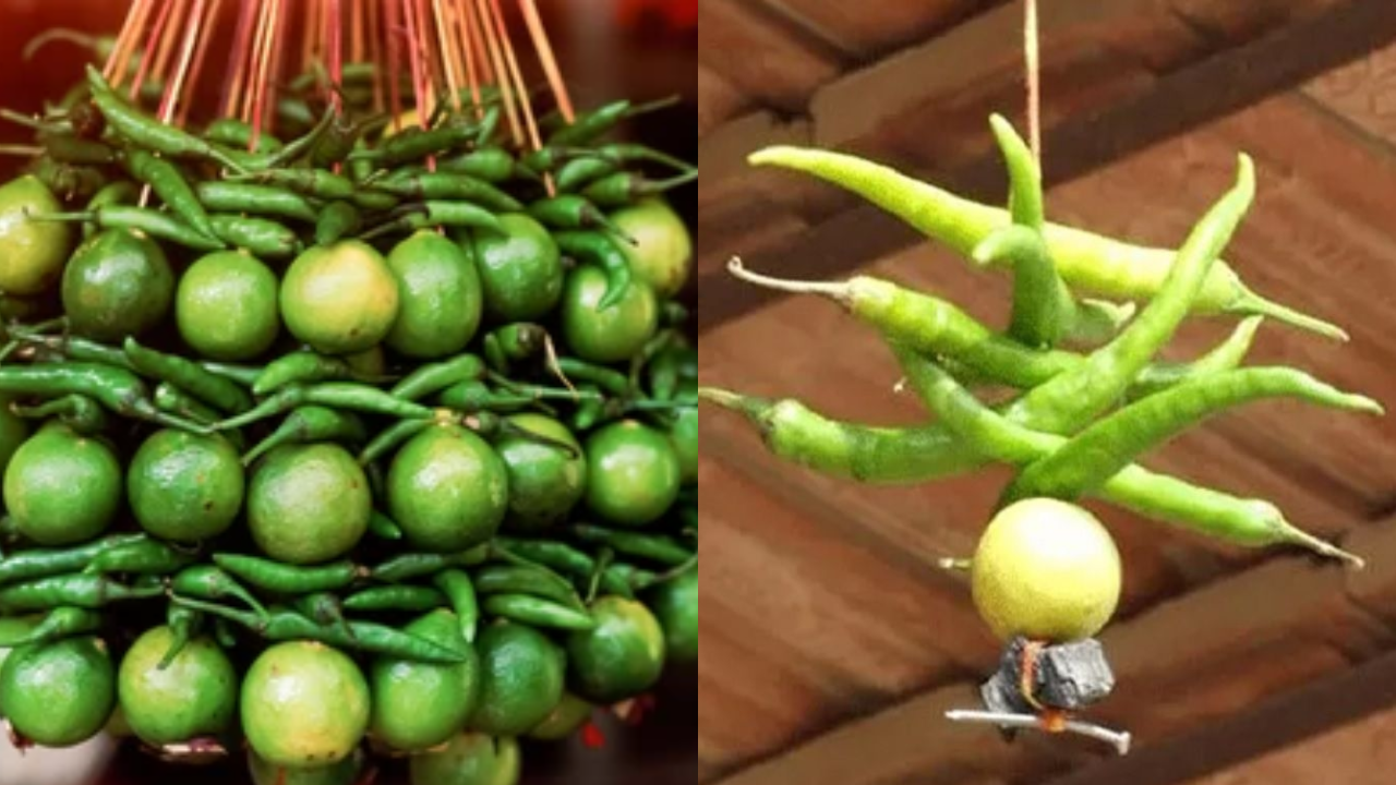 Nimbu Mirchi Totke वास्तु शास्त्र में वास्तु उपाय और टोटको के बारे में बात की गई है। वास्तु शास्त्र के अंतर्गत बहुत सारे ऐसे टोटके बताए गए हैं। जिनको अपनाकर आप बहुत सारी समस्याओं से छुटकारा पाया जाता है। वास्तु शास्त्र में नींबू मिर्च से बहुत सारे टोटके किये जाते हैं। ऐसे में आइए जानें नींबू मिर्च के खास टोटको के के बारे में।