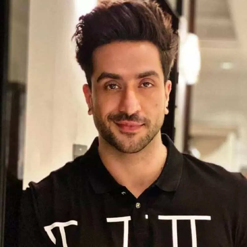 अली गोनी (Aly Goni)