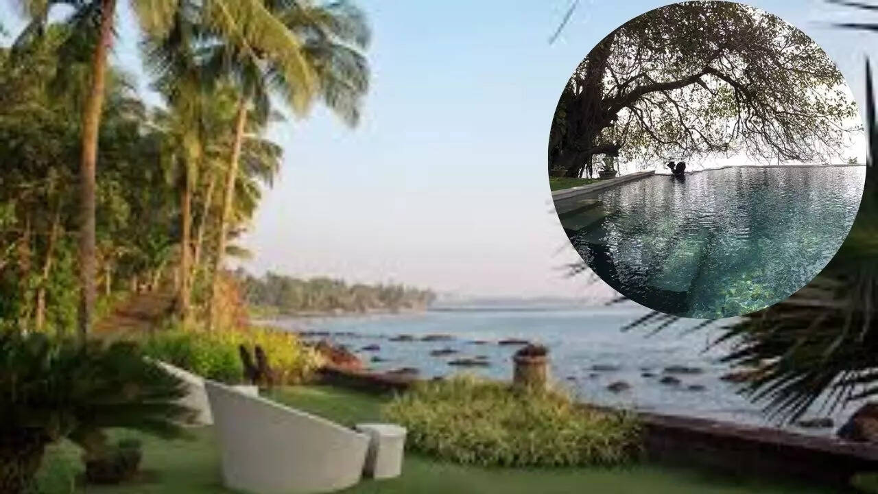 ट्री हाउस और म्यूजिक रूम