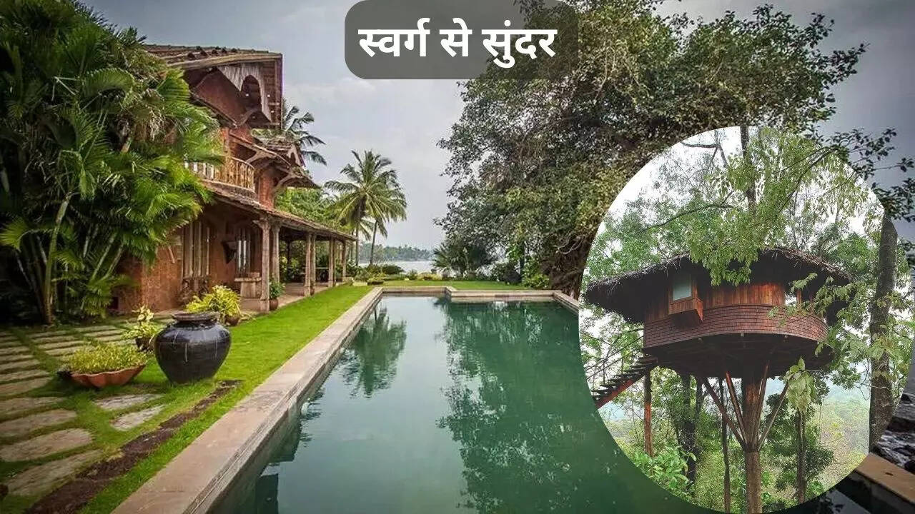 रेनफॉरेस्ट होटल