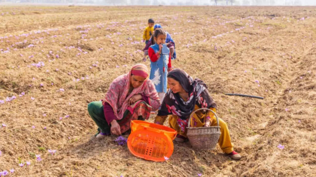 ​पाकिस्तान में कहां होता है उत्पादन​
