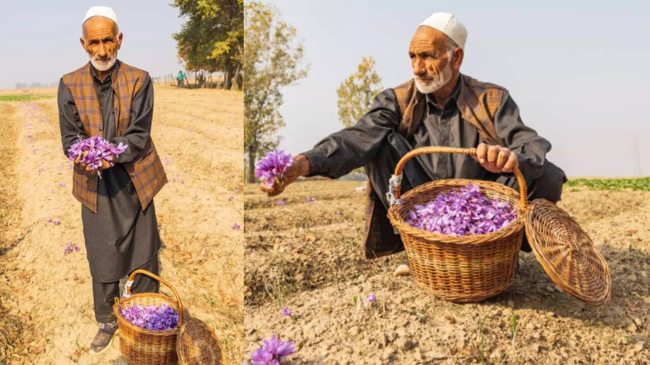​सालाना उत्पादन​