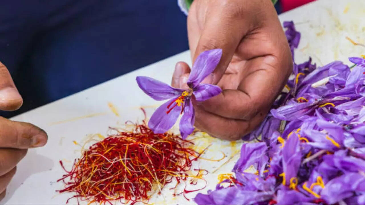 केसर का सबसे बड़ा उत्पादक
