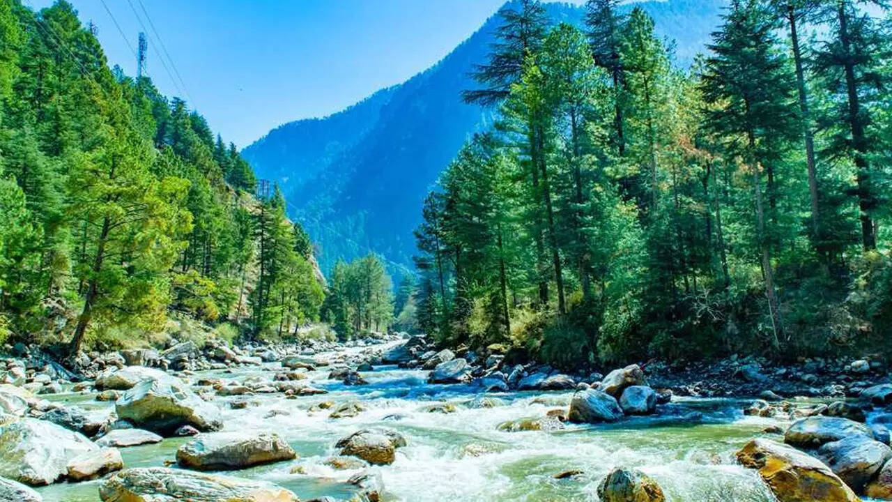 इस बारे में घुघुती नाम के एक यूट्यूब चैनल ने विस्तार से जानकारी दी है।​