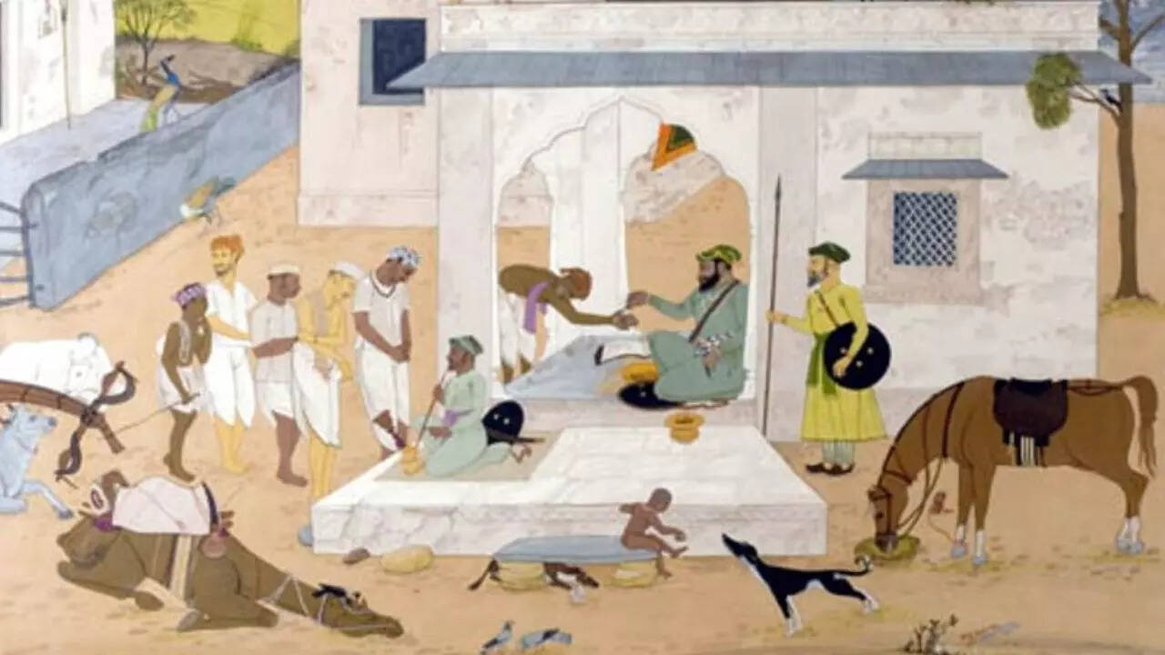 गेहूँ और चावल उगाते