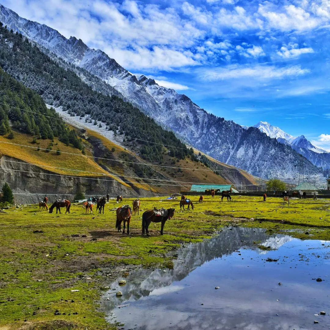 कुर्ग