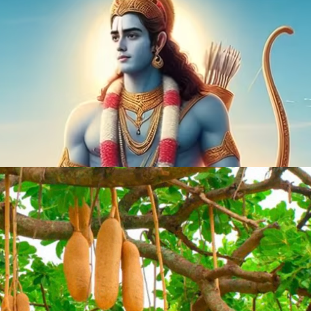 सेहत के लिए फायदेमंद है ये फल