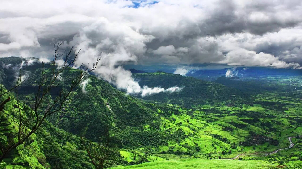 ​इस वजह से गाड़ियों पर रोक​