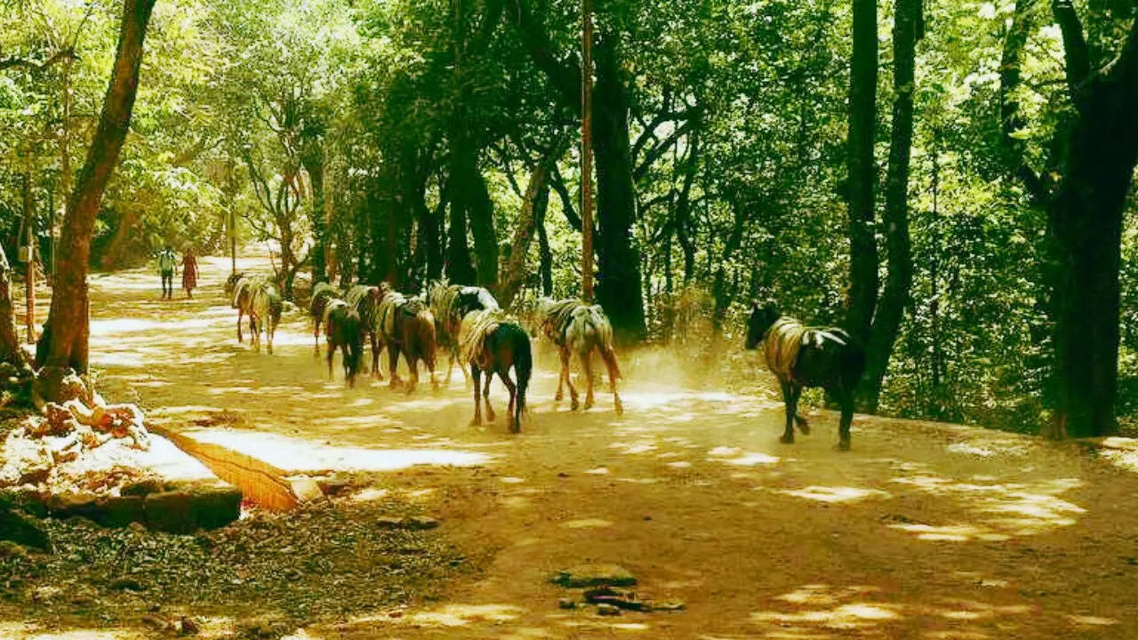 ​तेज आवाज पर भी रोक​
