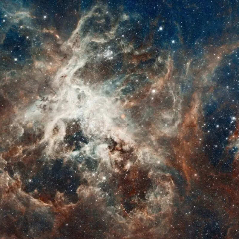 टारेंटुला नेबुला Tarantula Nebula