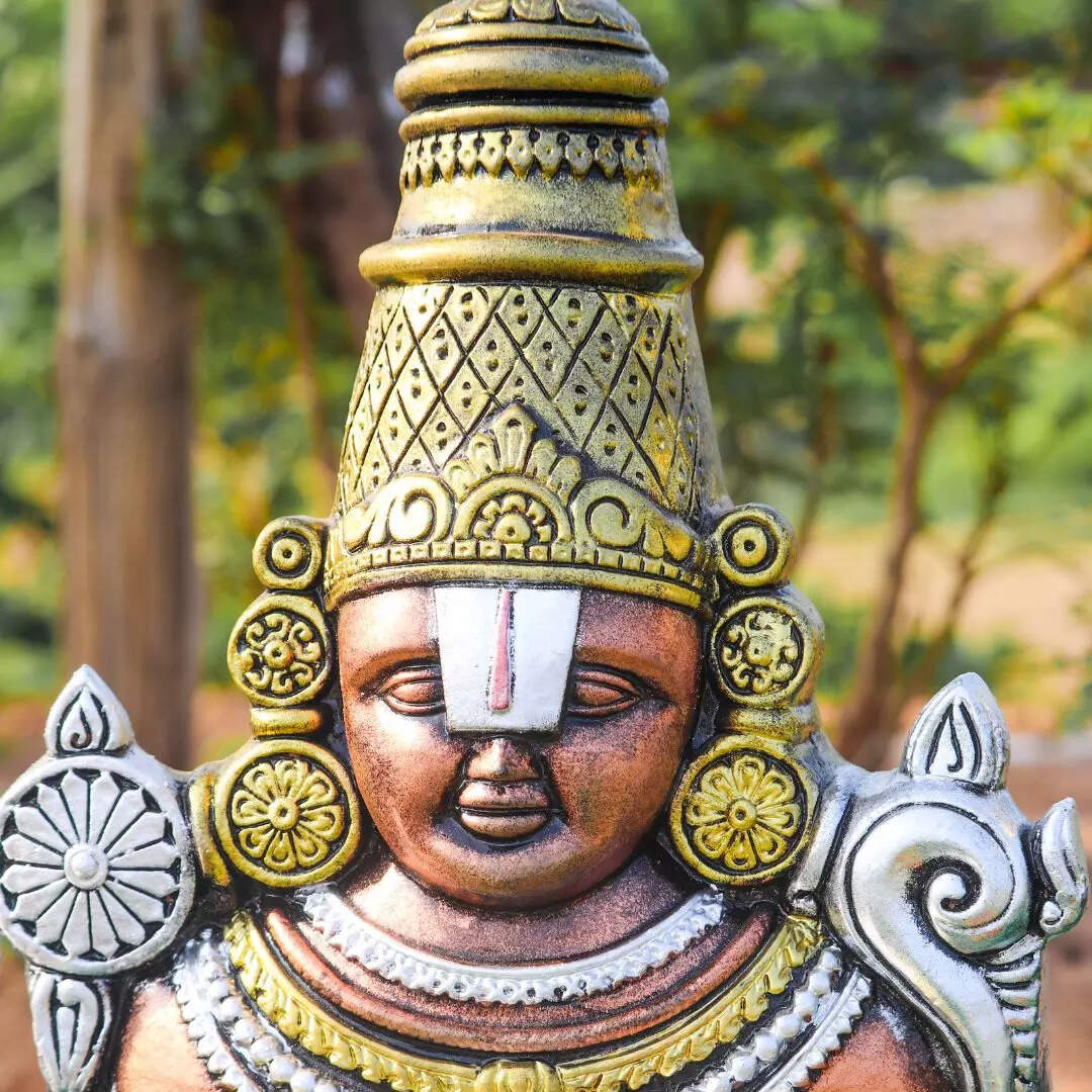 पैकेज में मिल रही हैं ढेर सारी सुविधाएं