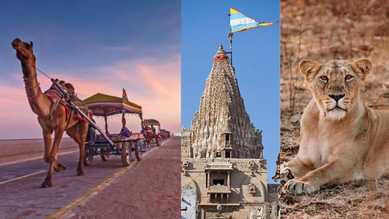गुजरात के पर्यटक स्थल