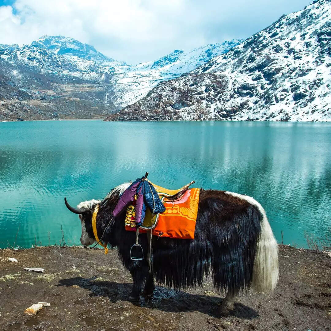 ​राज्य का नाम​