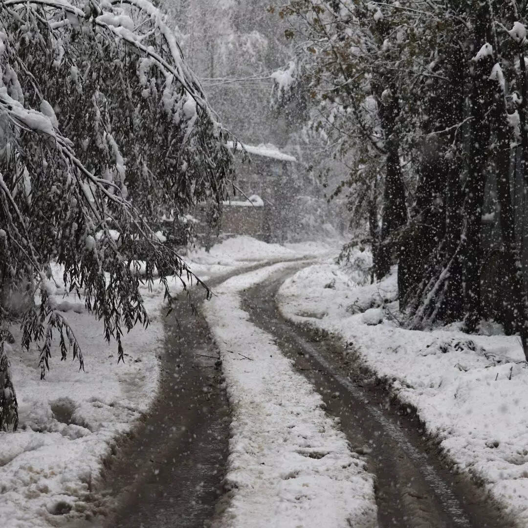 मैदानी इलाकों में हुई बारिश