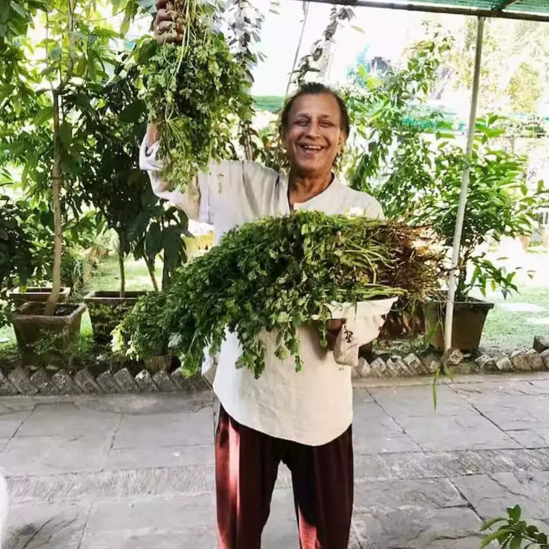 करते हैं ऑर्गेनिक फार्मिंग