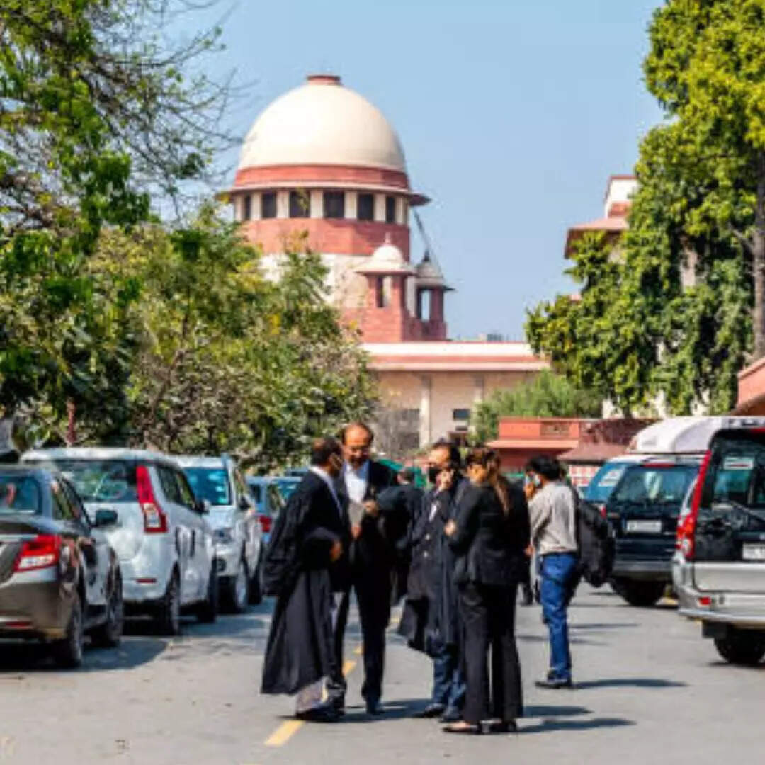 what-is-the-difference-between-advocate-and-lawyer-know-advocate-vs