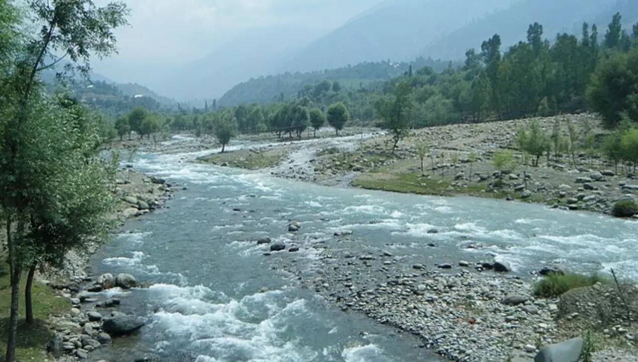 सिंधु का जल बड़े पैमाने पर सिंचाई के लिए काम में आता है