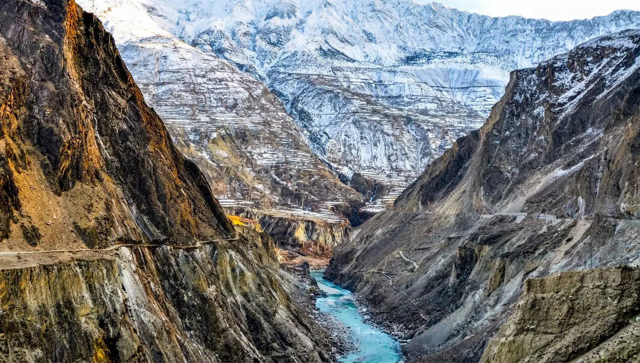 सिंधु नदी को पाकिस्तान की नील नदी कहा जाता है