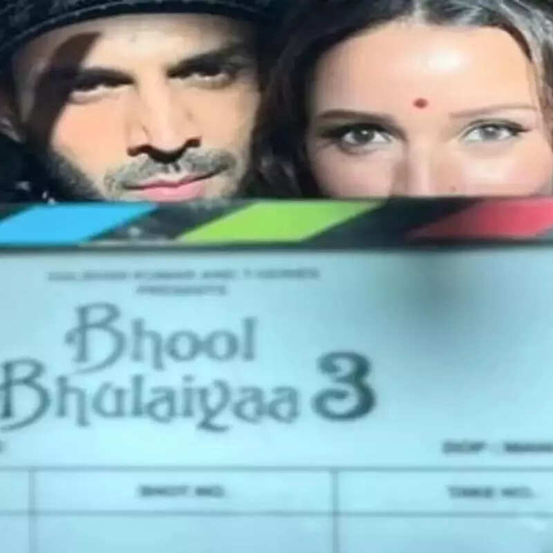 भूल भुलैया 3