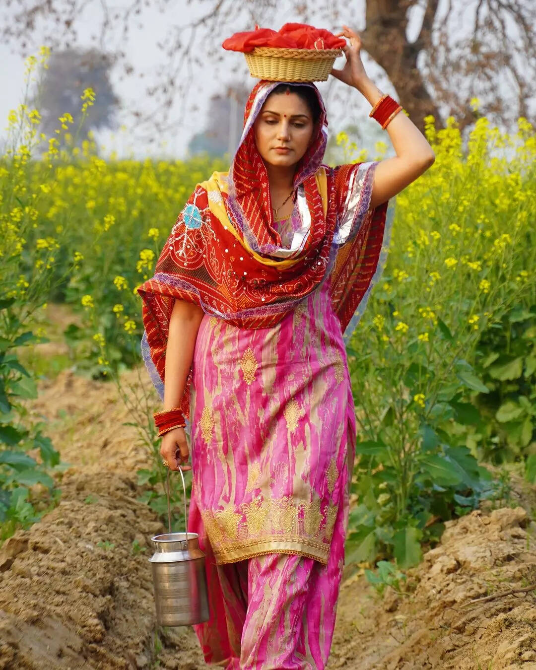 खेत में सपना चौधरी