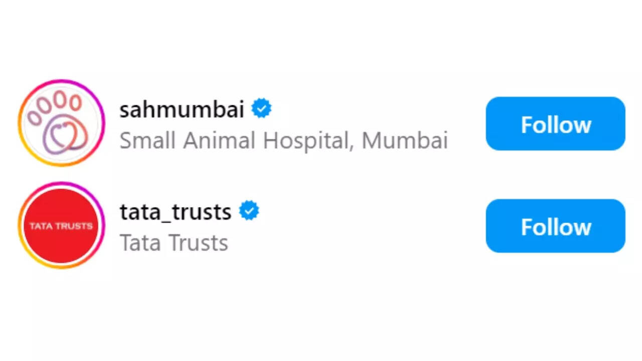 सिर्फ 2 अकाउंट को करते हैं फॉलो