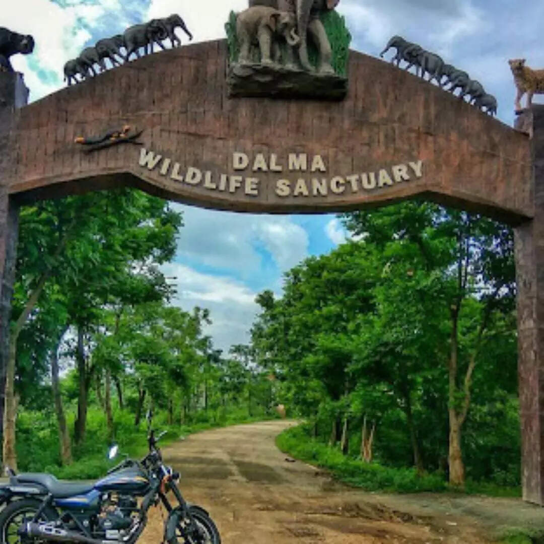 डलमा वाइल्डलाइफ सैंक्चुअरी