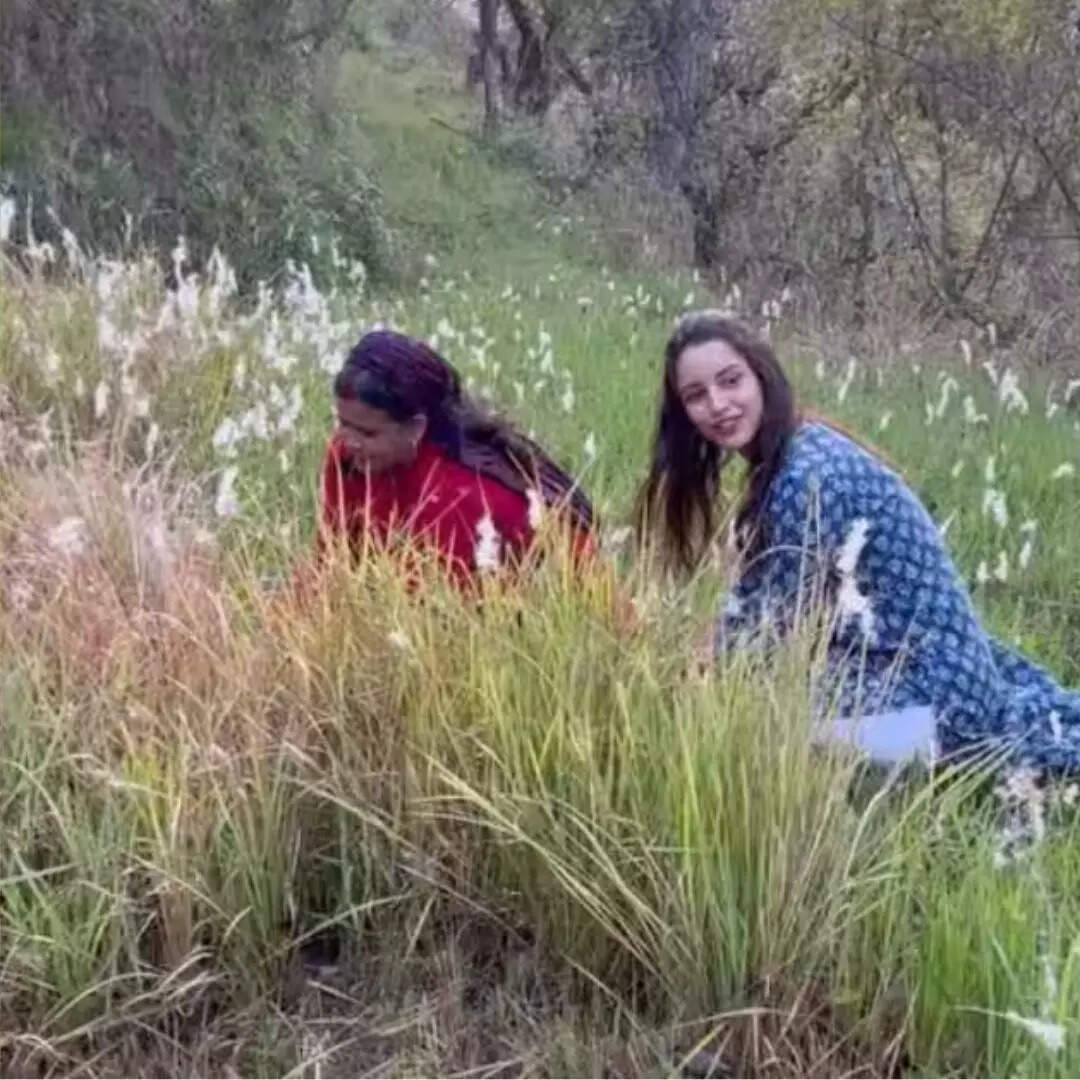 तृप्ति की पसंद