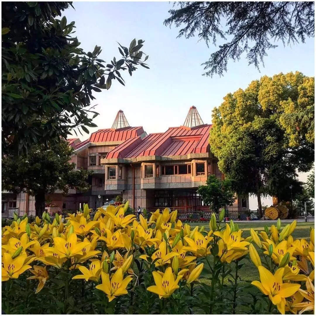 JNU से डिग्री