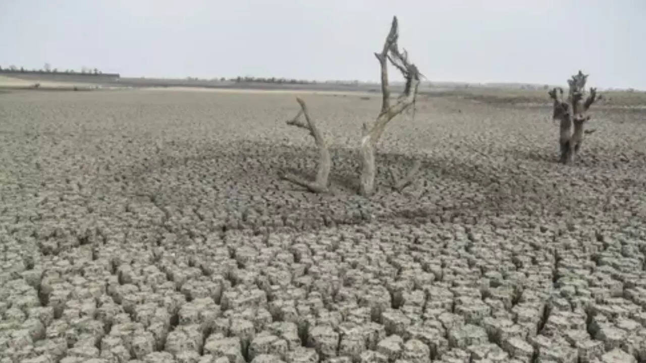 इन जिलों में होती कम बारिश