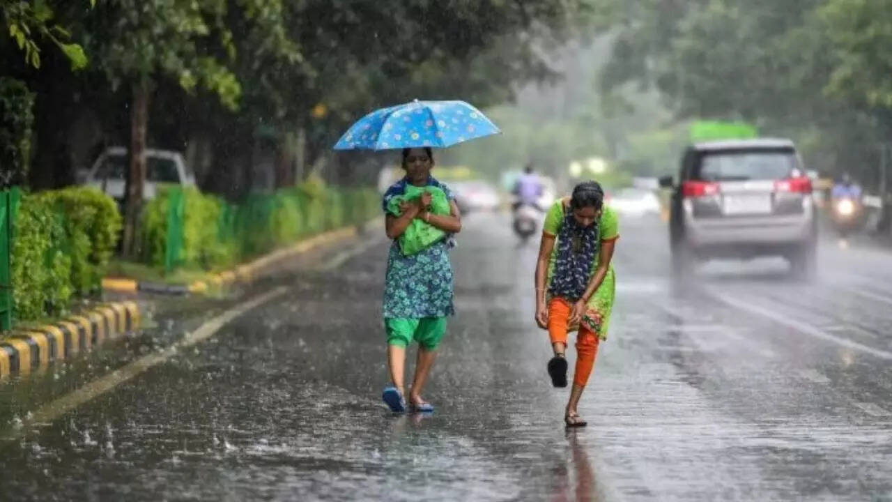 कितनी बारिश होती अमोली में