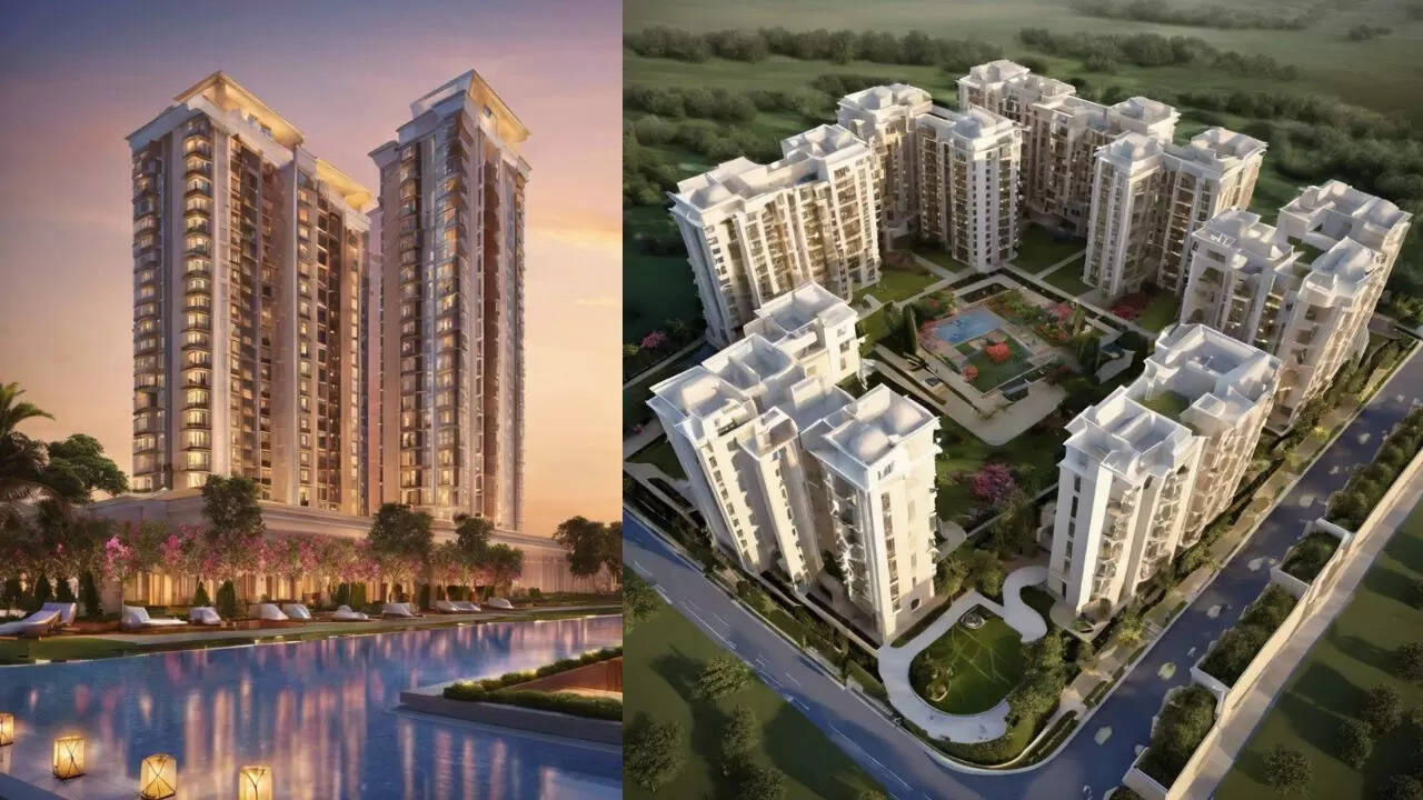 DLF का कैमेलियास