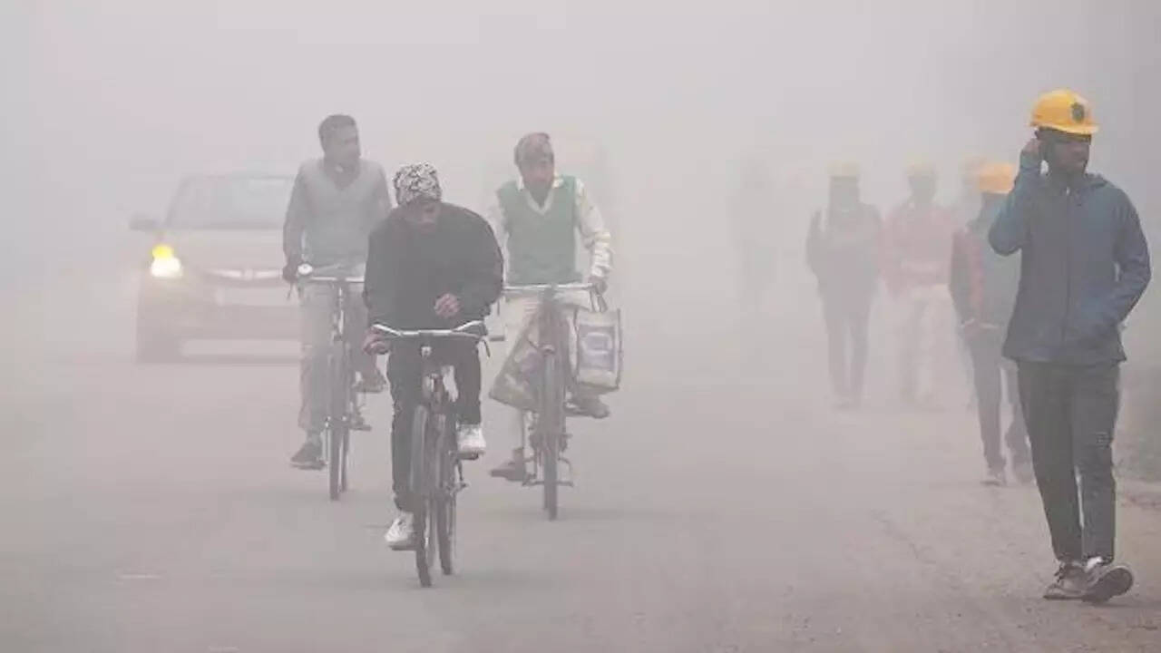 पालम है सबसे ठंडा इलाका