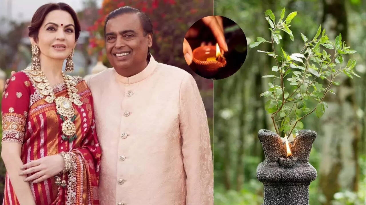 कार्तिक महीने में अमीर लोग जरूर करते हैं तुलसी की पूजा