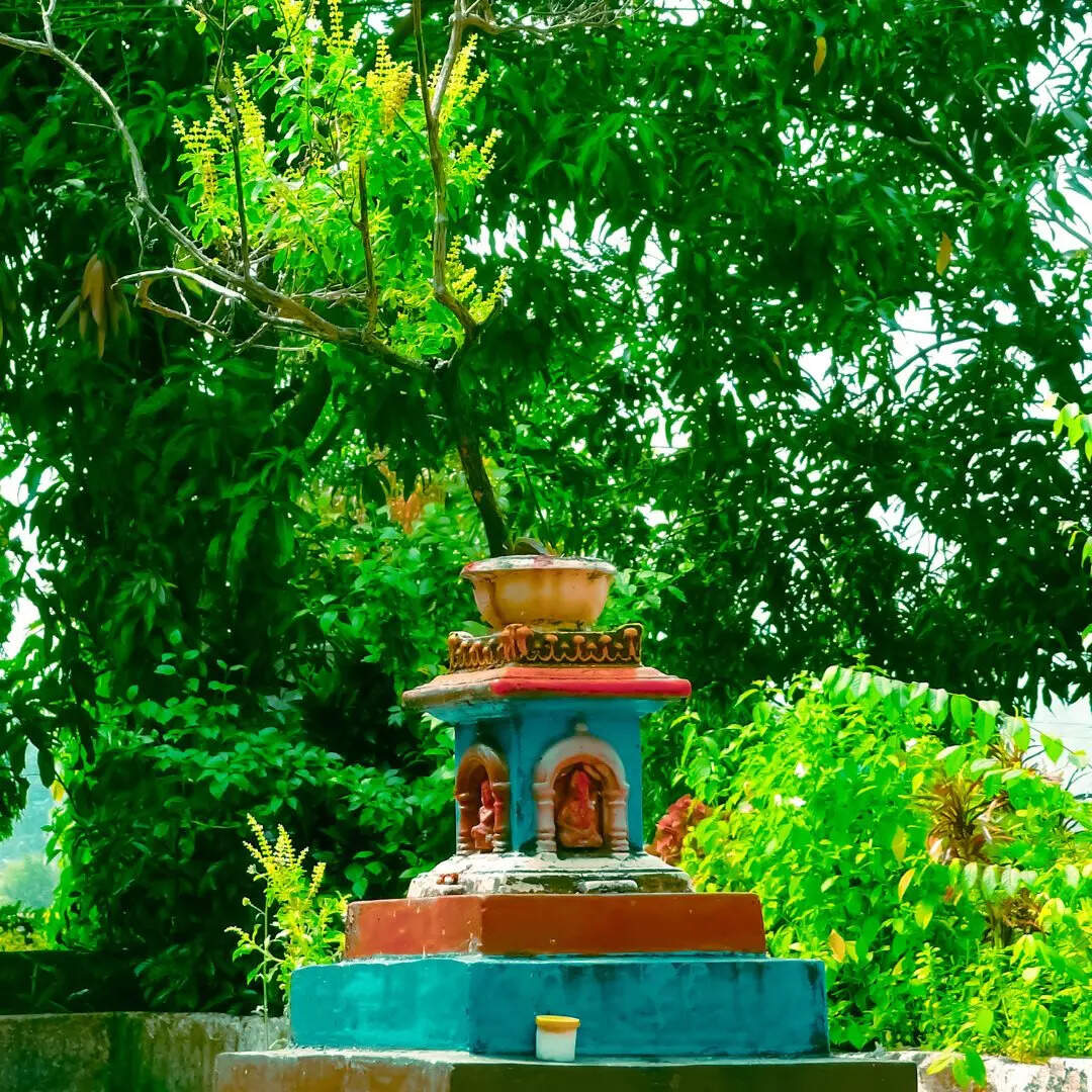 तुलसी पर दूध करें अर्पित