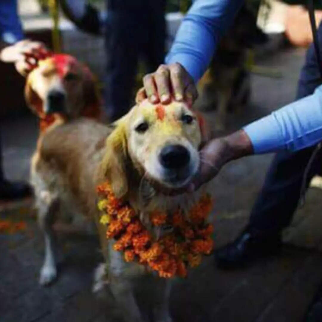 महाभारत में जिक्र