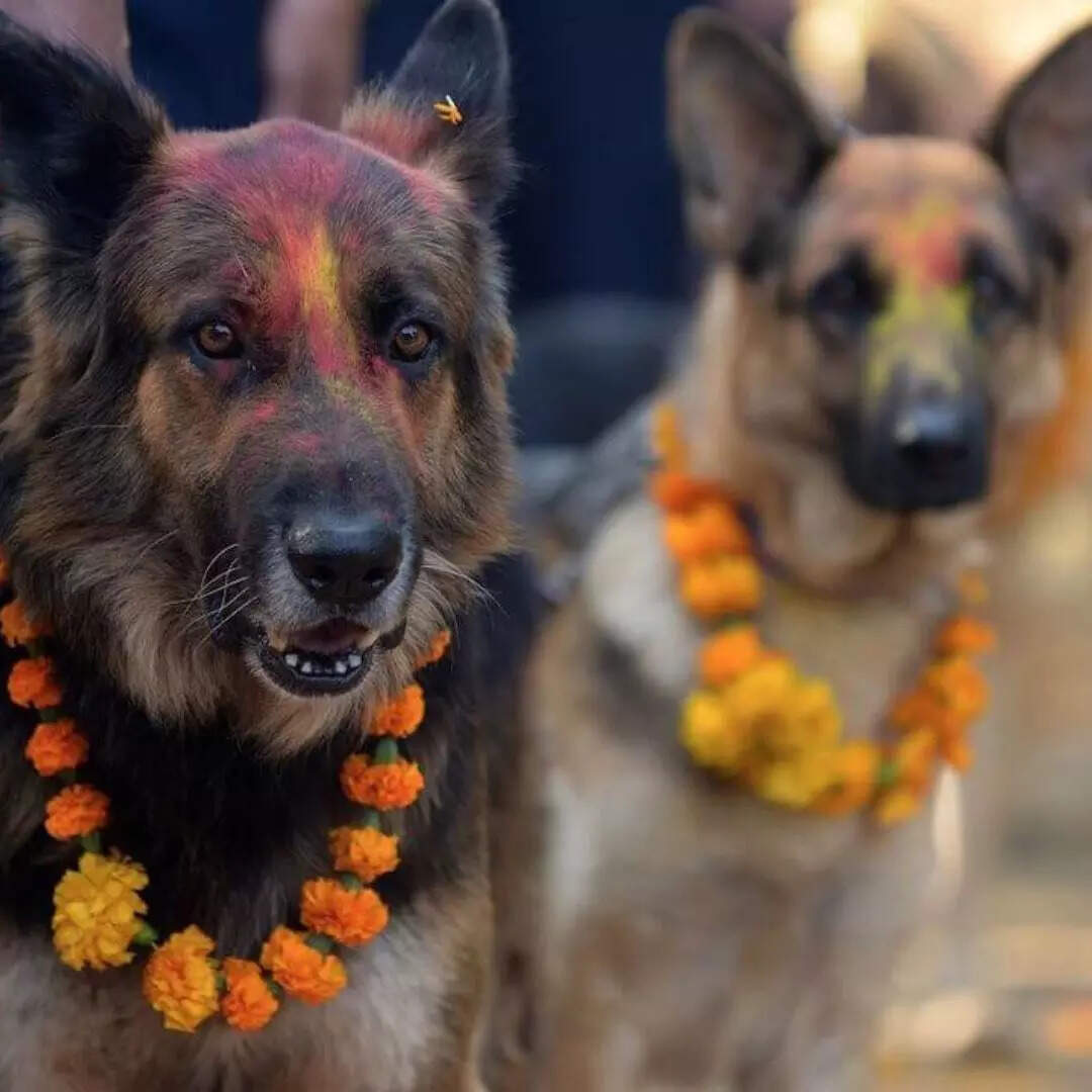 पवित्र दूत