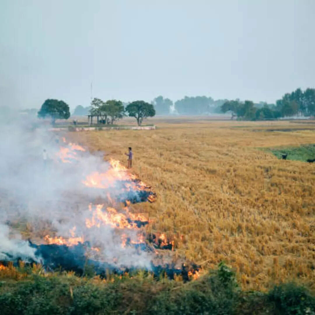 एक बार फिर