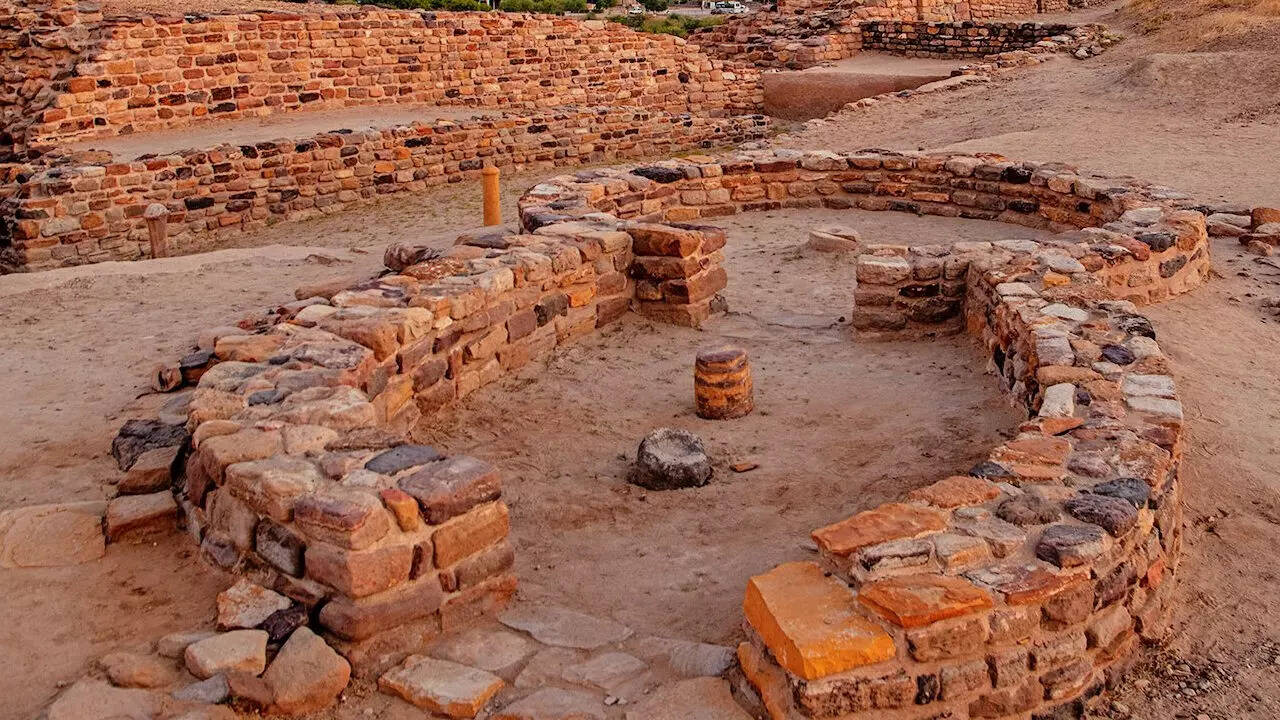 ढोलावीरा गुजरात