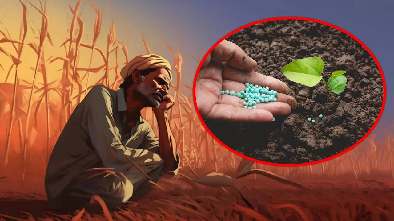 देश में अचानक खाद की कमी कैसे हो गई